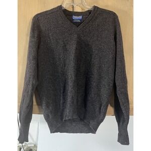 Pendleton Sweater Men's Lg Brown 100% Pure Lambs Wool V Neck Pullover‎ ***